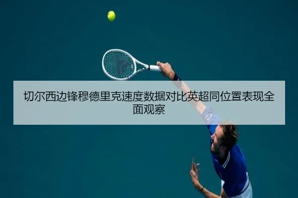 切尔西边锋穆德里克速度数据对比英超同位置表现全面观察