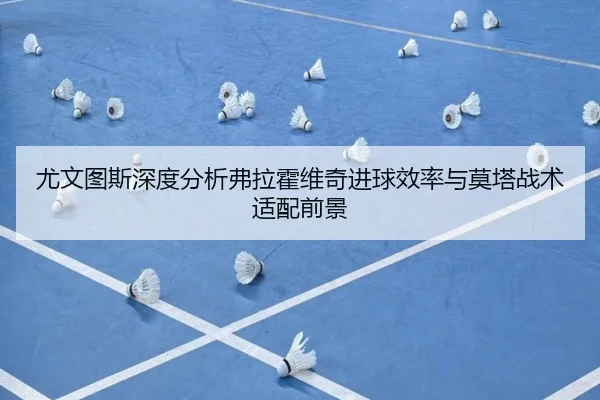尤文图斯深度分析弗拉霍维奇进球效率与莫塔战术适配前景