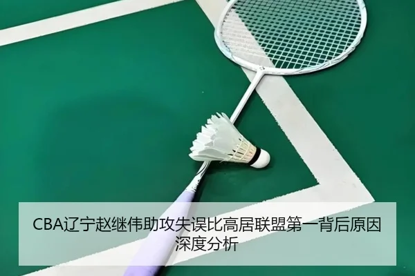 CBA辽宁赵继伟助攻失误比高居联盟第一背后原因深度分析