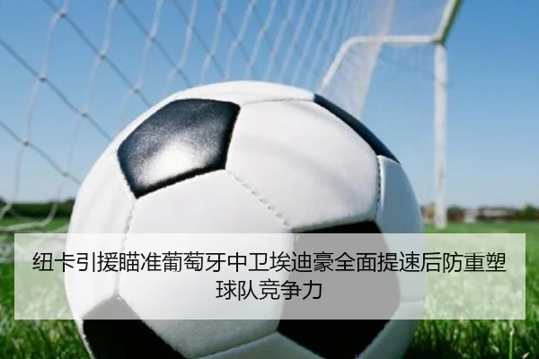 纽卡引援瞄准葡萄牙中卫埃迪豪全面提速后防重塑球队竞争力